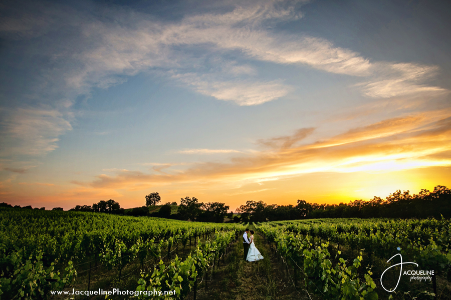 Amador_Cellars_Winery_01