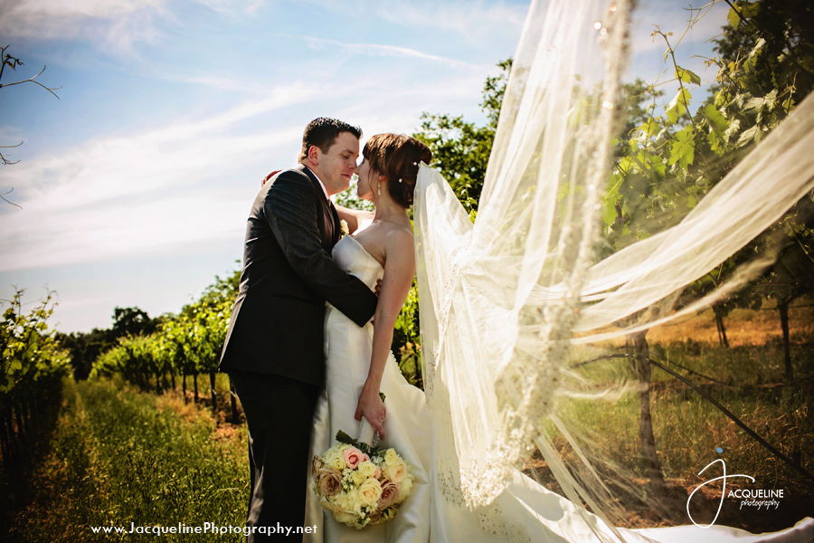 Amador_Cellars_Winery_14