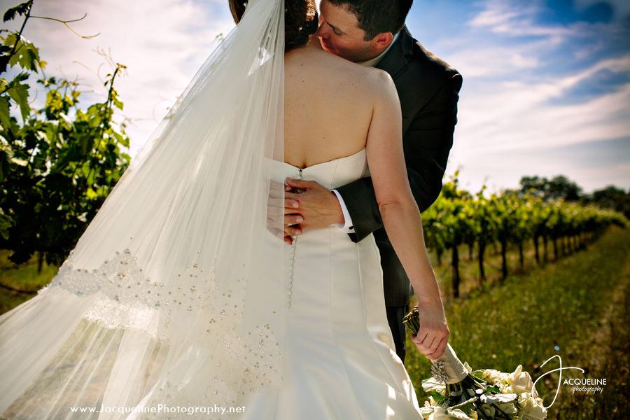 Amador_Cellars_Winery_15