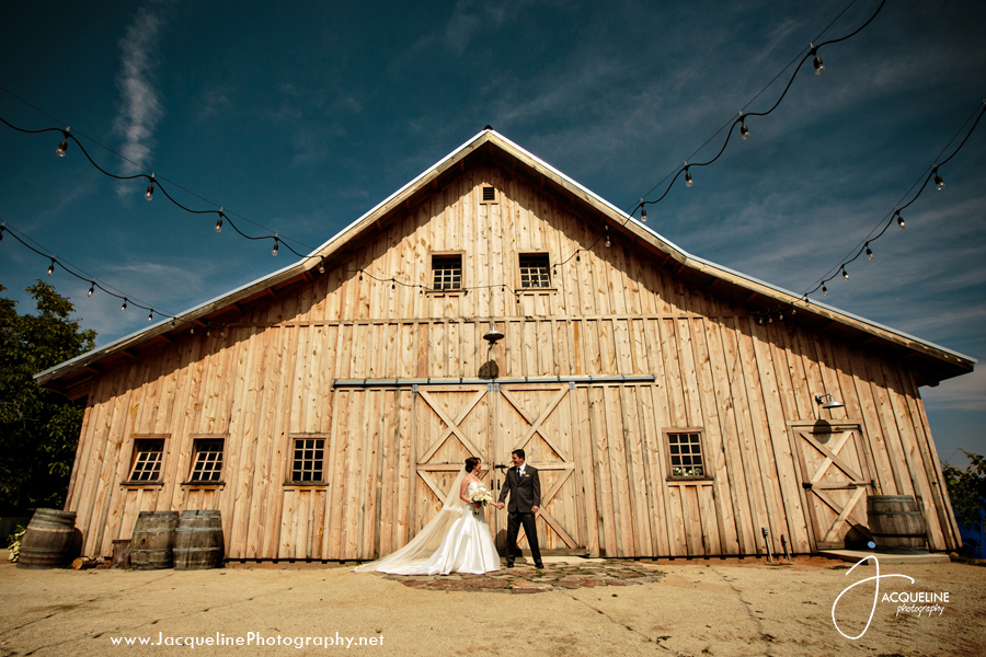 Amador_Cellars_Winery_16