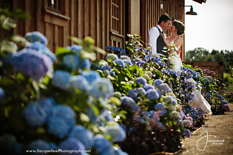 Amador_Cellars_Winery_18