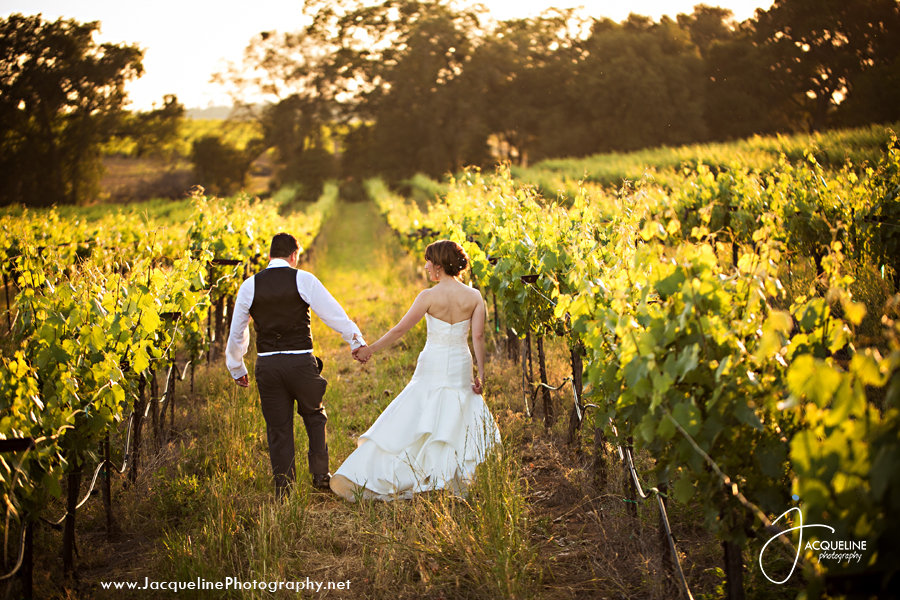 Amador_Cellars_Winery_19