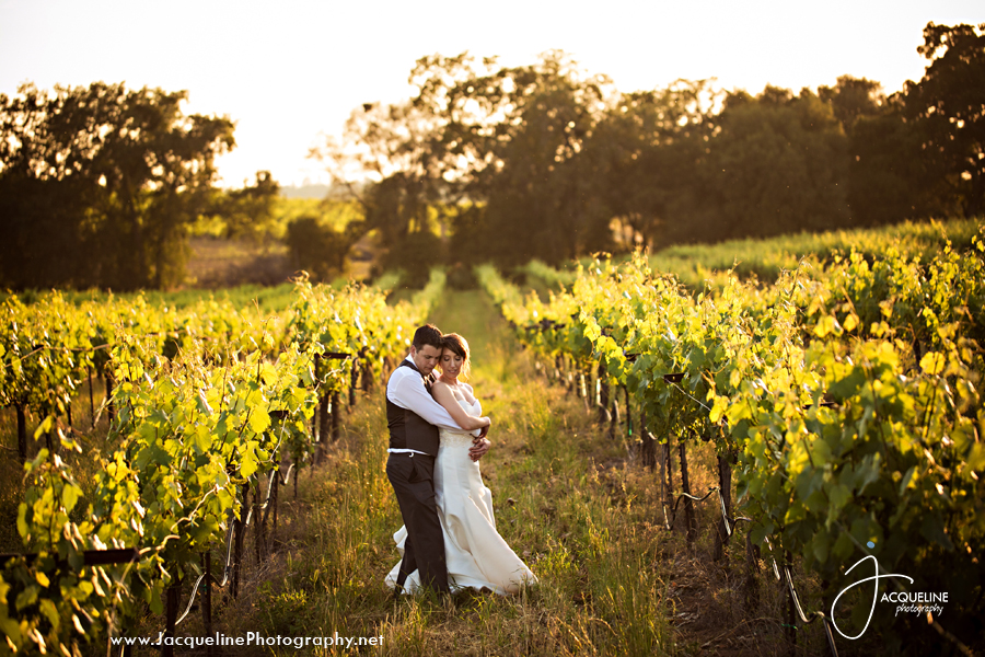 Amador_Cellars_Winery_20