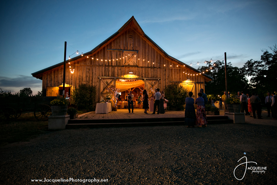 Amador_Cellars_Winery_41